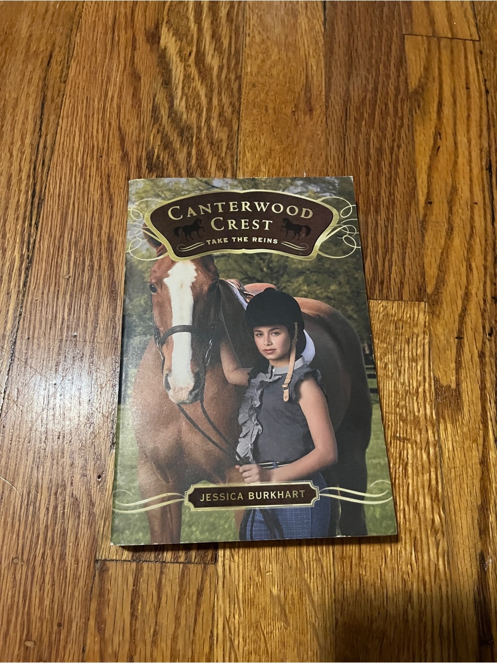 Canterwood Crest: Take the Reins